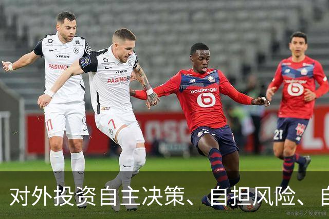 对外投资自主决策、自担风险、自负盈亏